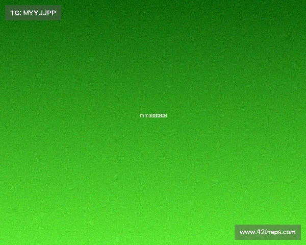 mma格斗冠军排名